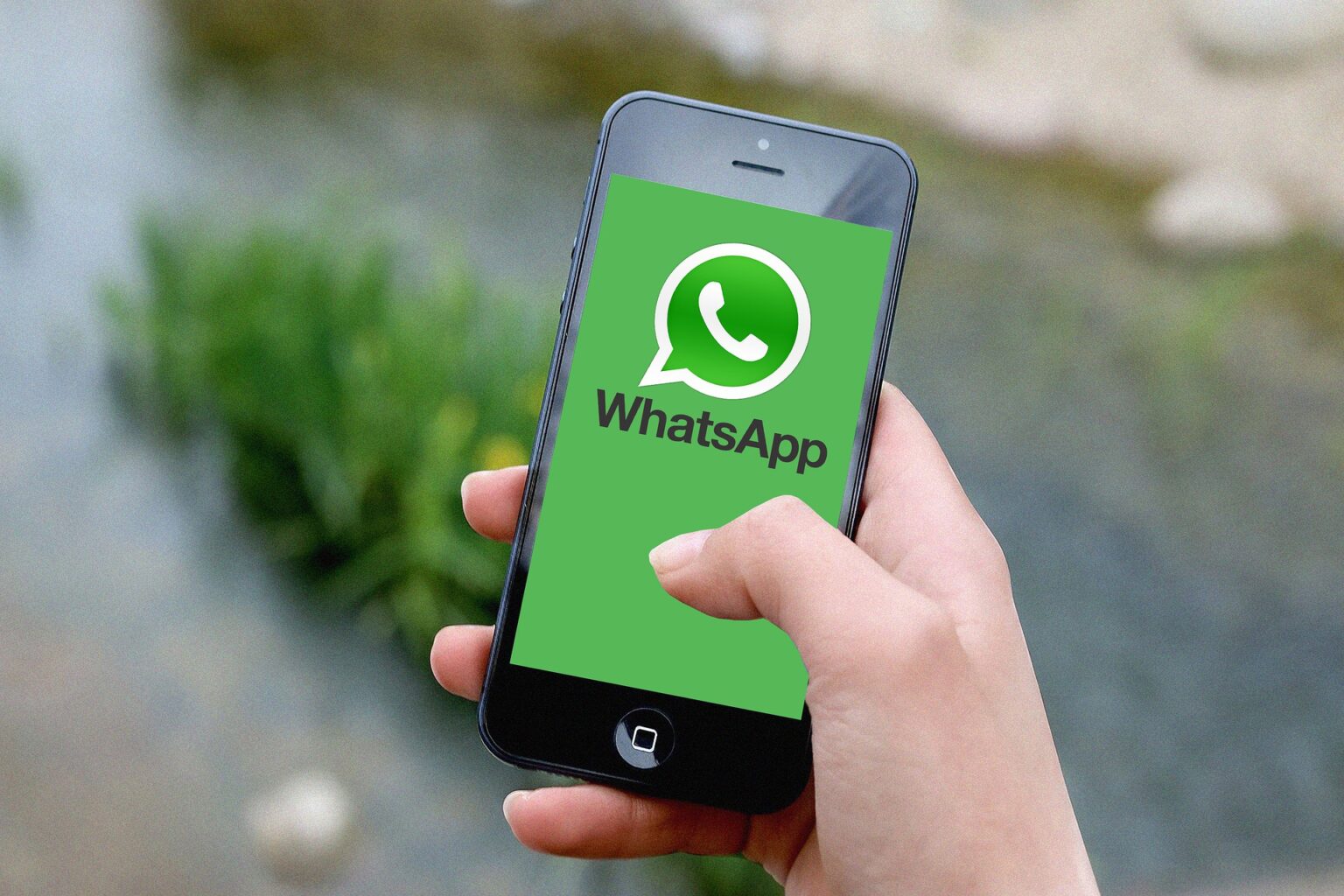 Bei WhatsApp blockiert Wie erkenne ich das? EDEKA smart